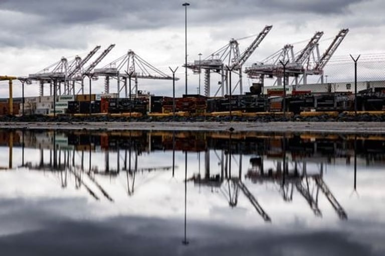 US Businesses Sue Trump Over 'Liberation Day' Tariffs, Cite Unconstitutional Overreach