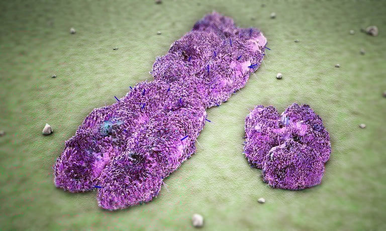 Disappearing Y Chromosome: Implications for Men's Health and Future Evolution