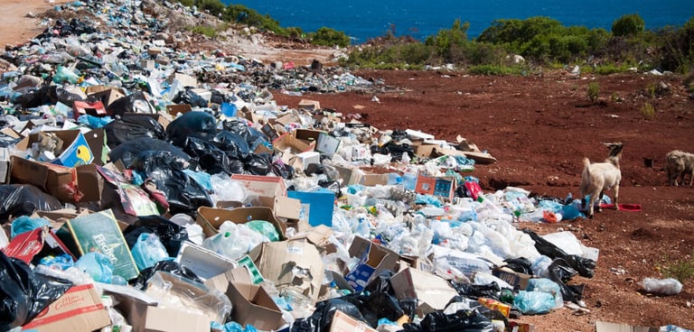 Australia Joins Global Push for Binding Treaty to Curb Plastic Pollution at UN Oceans Conference