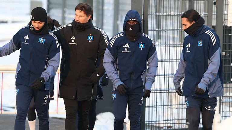 HSV's Jean-Luc Dompé Suspended After DUI and Scooter Incident, Faces Disciplinary Review