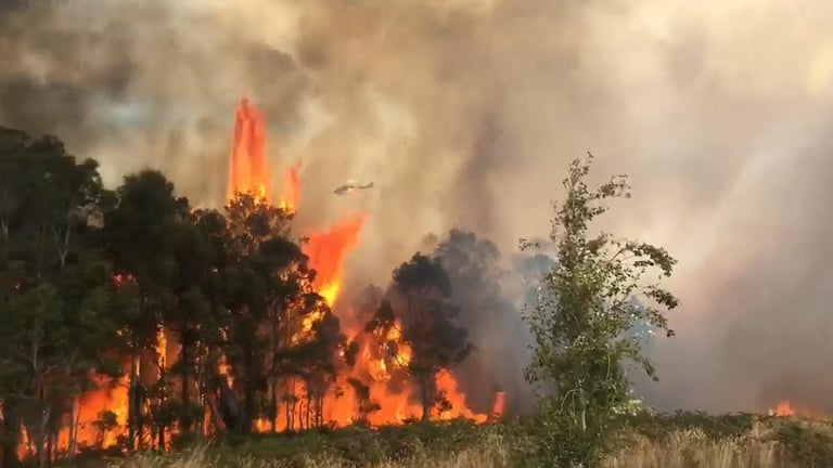 WA Shires Secure $800K Each for Bushfire Mitigation to Safeguard Communities