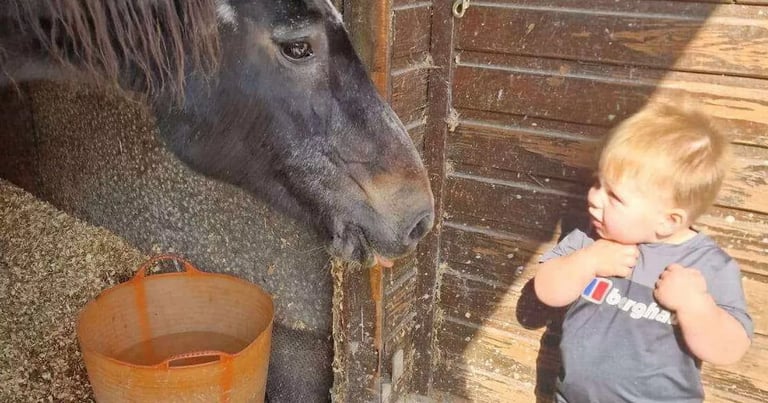 Tragic Loss: 2-Year-Old Boy Killed by Falling Fireplace in Greater Manchester Home