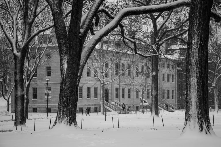 Harvard Science Dean Jeff W. Lichtman Steps Down, Transition Sparks Leadership Discussion