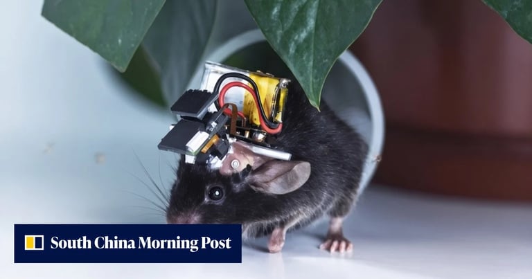 World's Lightest Wireless Microscope "Airscope" Revolutionizes Neural Imaging in Freely Moving Animals