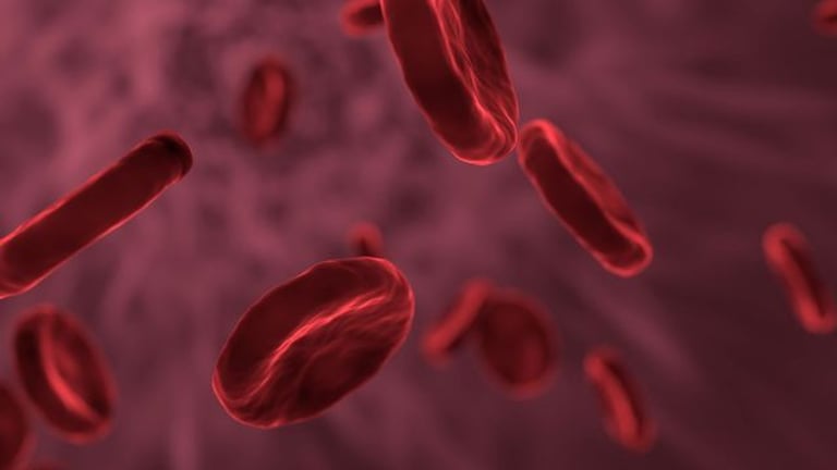 Breakthrough Bone Marrow Transplant Offers Hope for Sickle Cell Cure at Lower Cost