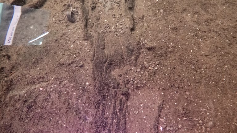 Discovery of 5,200-Year-Old Canoe Reveals Ancient Travel Traditions in Eastern North America