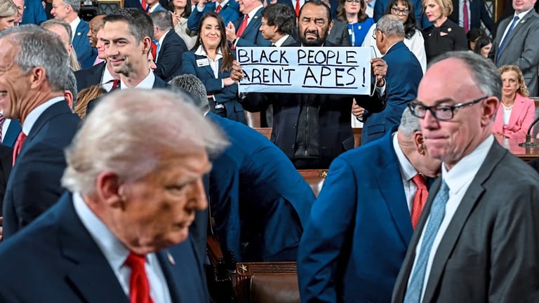 Texas Rep. Al Green Escorted Out of Senate for Protest Sign During State of the Union
