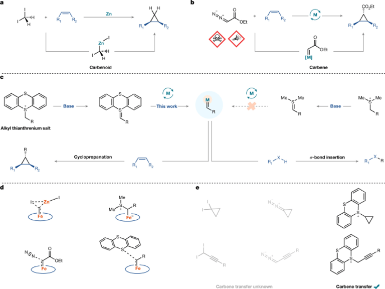 New TT-Derived Method Revolutionizes Carbene Transfer, Enhancing Safety and Versatility in Metal-Catalyzed Reactions