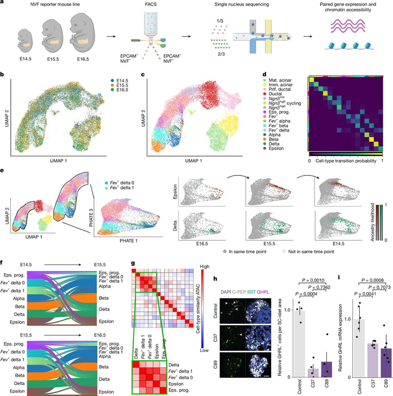 Revolutionary Moscot Technology Transforms Biomedical Research and Therapy Predictions