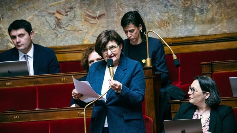 French Assembly Advances Automatic Residency Renewals Amid Government Opposition and Heated Debate