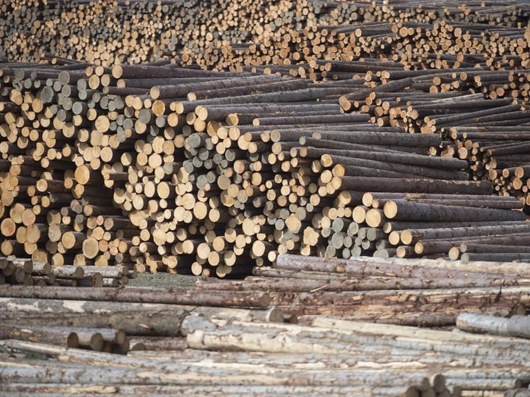 US Hikes Canadian Lumber Tariffs to 34.45%, Fueling Trade Tensions and Housing Cost Concerns