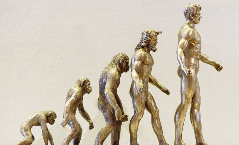 Study Reveals Mammalian Evolution Was a Twisting Path, Not a Straight Line to Upright Walking