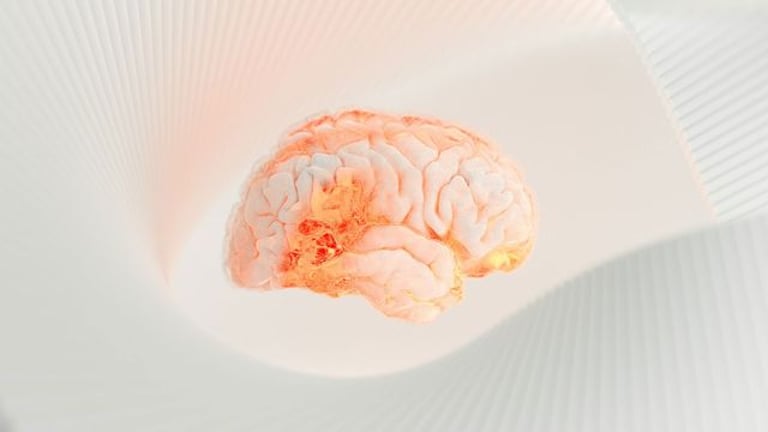 USC's AI Breakthrough Reveals Brain Aging Speed, Paving Way for Alzheimer's Prevention