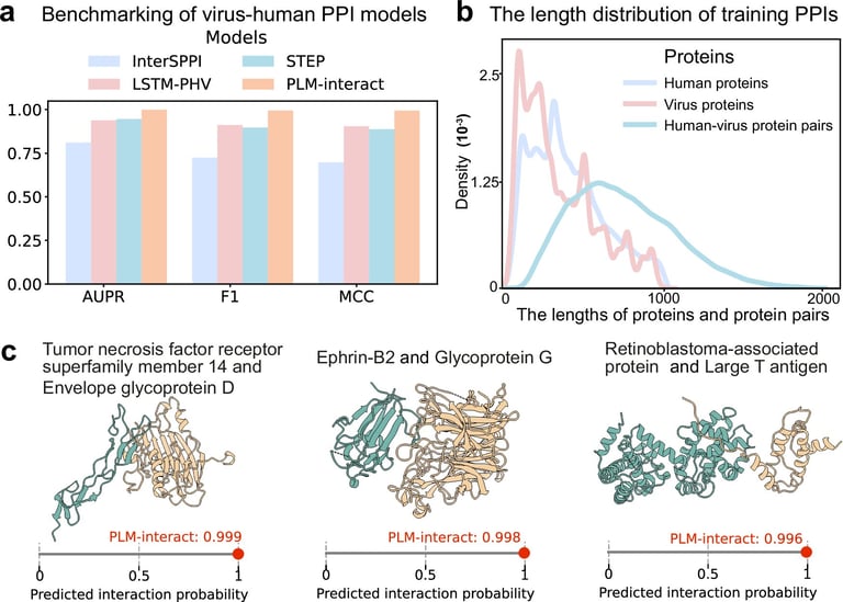 PLM-Interact: New AI Model Revolutionizes Protein Interaction Prediction, Outshines AlphaFold3