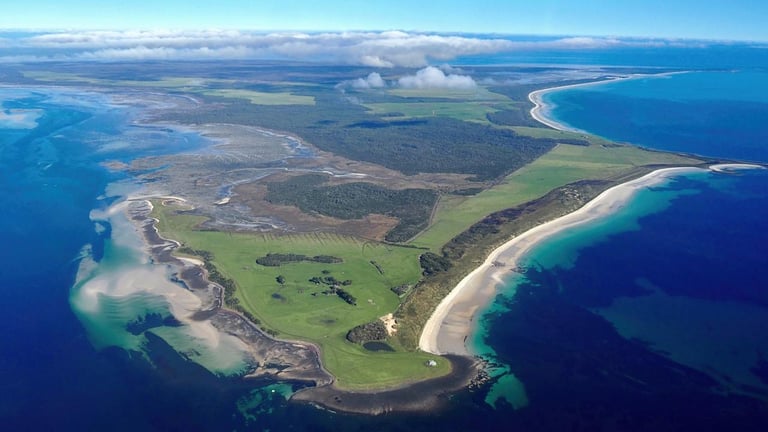 Controversial Robbins Island Wind Farm Approved Amidst Environmental Concerns and Legal Battles