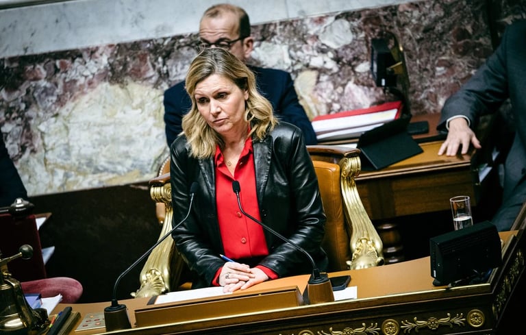French National Assembly President Proposes Pausing Pension Reform Amid Political Tensions
