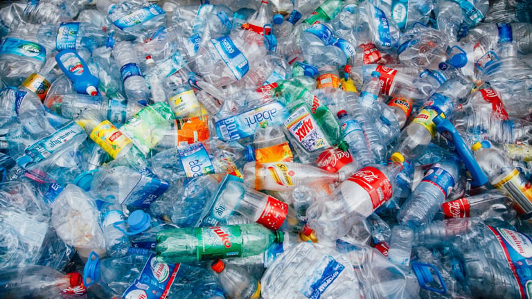EU Bans PFAS in Food Packaging, Sparking Cost Concerns for Businesses