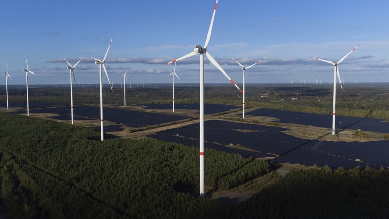 Court Upholds Government's Use of Renewable Profits for Electricity Price Cap Amid Energy Crisis