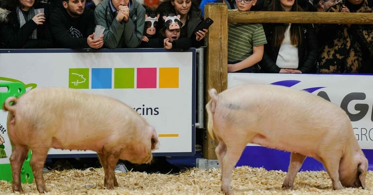 Macron's Marathon at Salon de l'agriculture: Clashes and Controversy Amid Farming Crisis