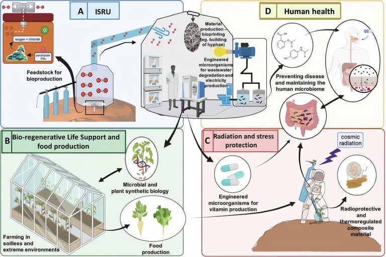 Harnessing HIV Insights to Combat Inflammation in Space: Paving the Way for Healthier Astronauts