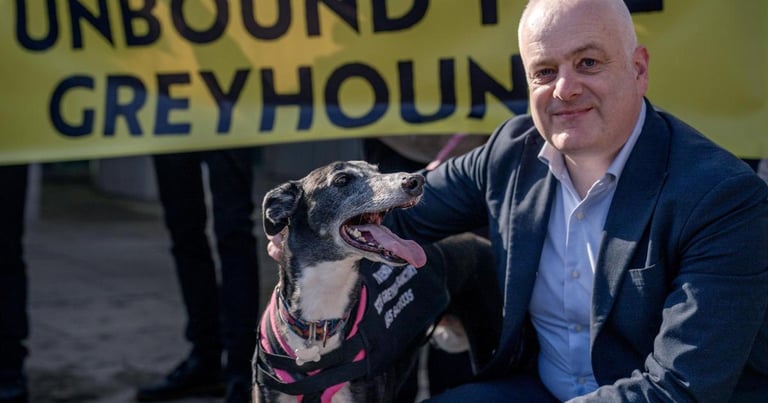 Scotland Bans Greyhound Racing: Historic Bill Ends Cruelty and Spurs UK-Wide Reform Movement