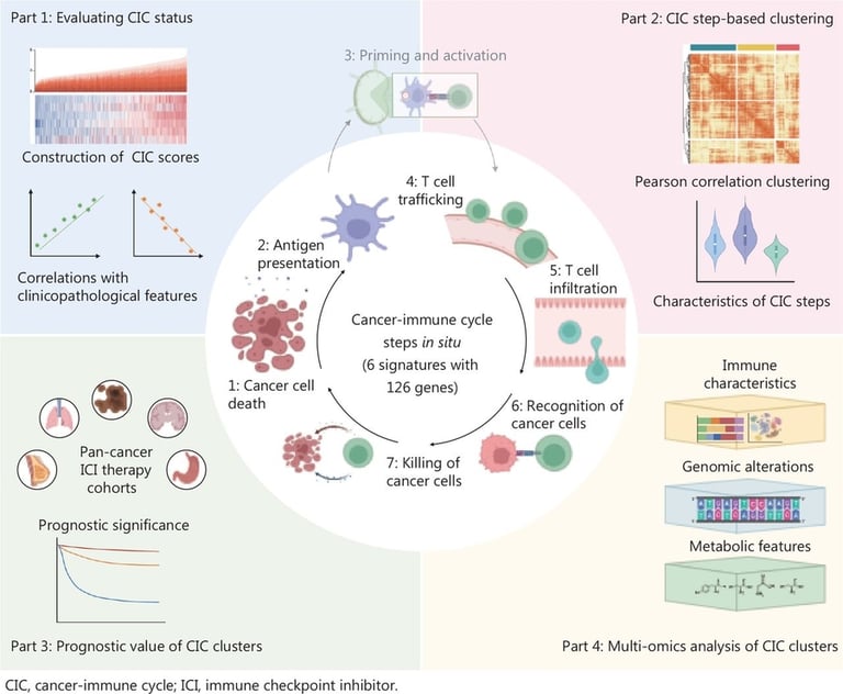 New Breast Cancer Framework Predicts Immunotherapy Responses with Three CIC Subtypes