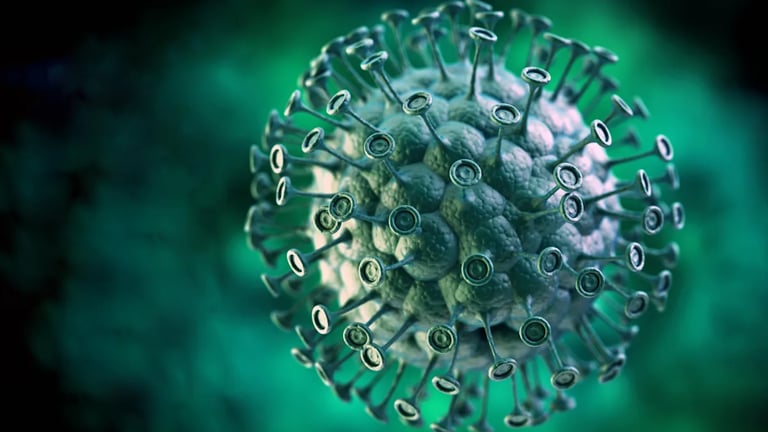 Experts Warn: Bird Flu Pandemic Could Surpass COVID-19 Threat if Virus Mutates