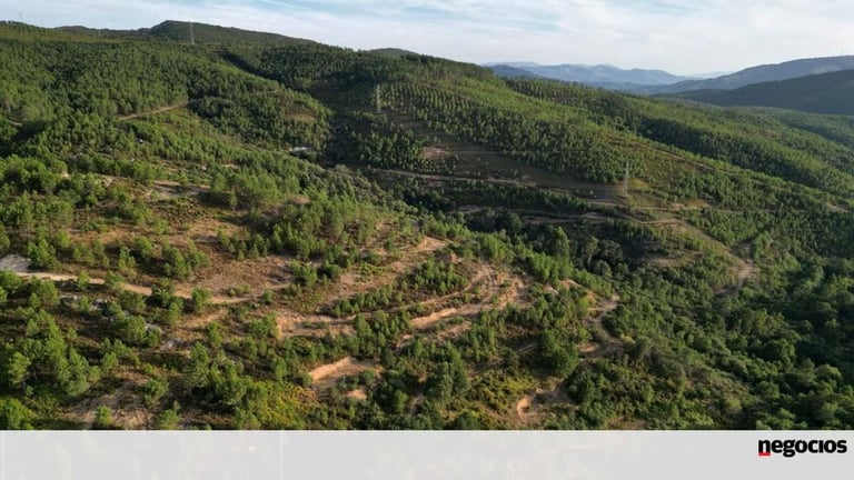 Boticas Homeowners Halt Lithium Mining Project with Legal Victory Against Environment Ministry