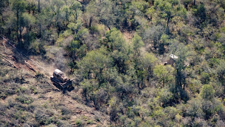 EU Delays Anti-Deforestation Law Over Tech Challenges, Sparking Environmental Concerns