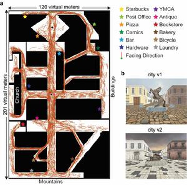 Discovery of Human Neural Compass Offers Insight into Navigation and Alzheimer's Detection