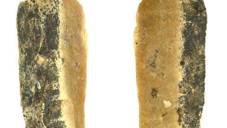 Ancient Birch Tar Unveils Neolithic Life: DNA Reveals Diet, Gender Roles, and Technological Skills