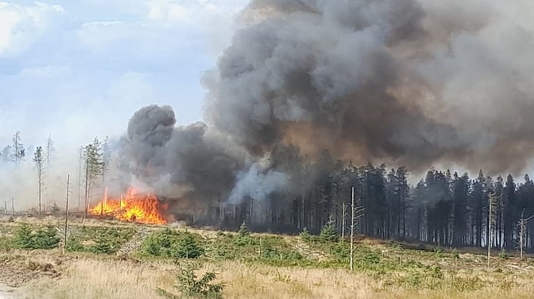Wildfire Rages on Langdale Moor: Peat Fires, WWII Explosives Hinder Efforts