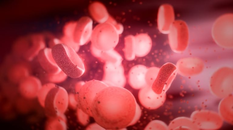DARPA Funds UC San Diego's Ambitious Project to Engineer 'Smart' Red Blood Cells for Enhanced Endurance