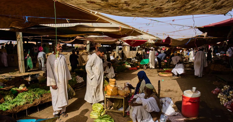 Sudan Faces Dire Hunger: 19.5 Million in Crisis Amid Rising Costs and Conflict