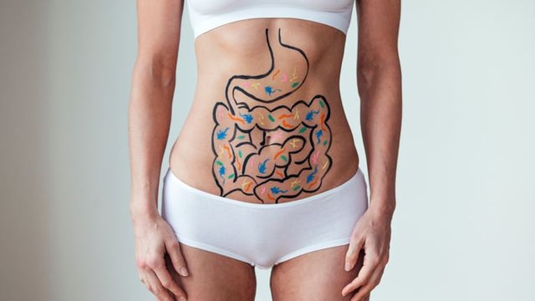 VBayesMM AI Model Revolutionizes Gut Microbiome Analysis, Paving Way for Personalized Medicine