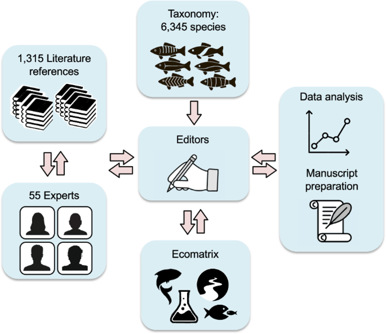 Groundbreaking Neotropical Fish Dataset Unveiled: A Leap Forward in Aquatic Biodiversity Research