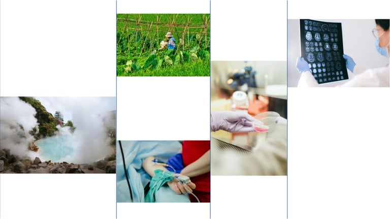 AlphaFold Revolutionizes Asia-Pacific Research: Accelerating Drug Development and Unveiling New Biological Phenomena