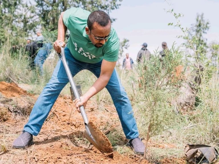 Ethiopia Sets New Record, Plants 805.3 Million Seedlings in a Day for Green Legacy Campaign