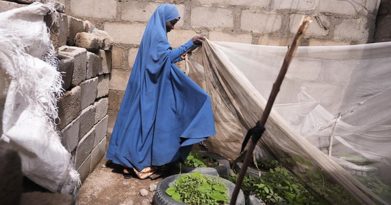 UNICEF: 181 Million Children Facing Severe Food Poverty, Africa Hit Hard