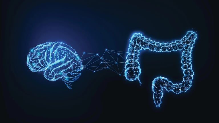 High-Fat, Sugary Diets Impair Gut-Brain Communication, Affect Memory: Study