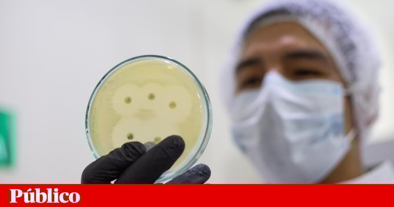 Global Antibiotic Use in Livestock Set to Surge 30% by 2040, Study Warns