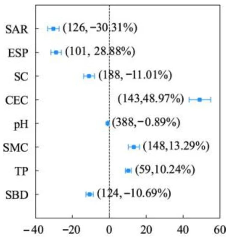 New Study Advocates Biochar and Organic Amendments for Sustainable Agriculture and Improved Soil Health