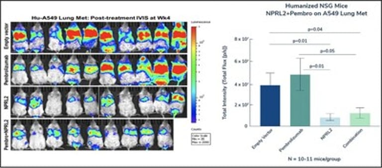 Genprex Reveals Breakthrough NPRL2 Gene Therapy in Lung Cancer Resistance