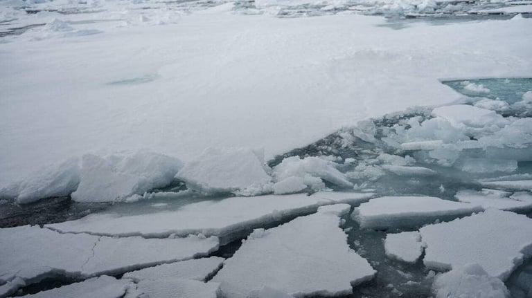 2024 Shatters Heat Records as Global Sea Ice Hits Historic Low, Urgent Climate Action Needed