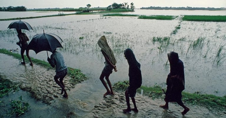 Google Unveils NeuralGCM: Open-Source Model Revolutionizing Climate Forecasting with Enhanced Accuracy