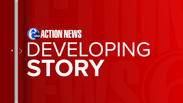 Armed Man Arrested at 'No Kings' Rally in West Chester Amid Trump Deportation Protests