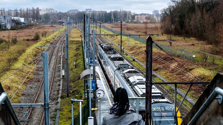 Brussels Faces Political Clash Over Land Use: Housing vs. Biodiversity