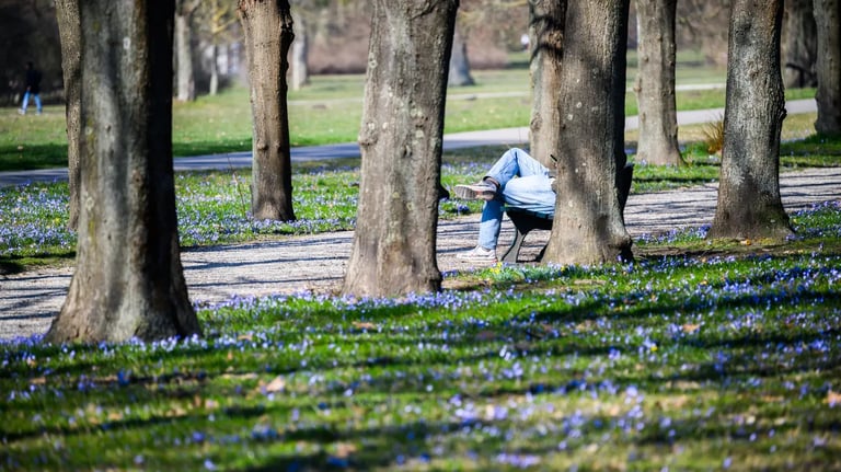 Germany Faces Rising Unemployment Despite Spring Job Market Expectations and Skilled Worker Shortage