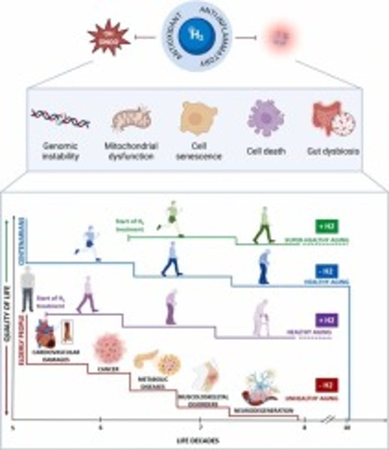 Hydrogen Gas: A New Frontier in Treating Metabolic Syndrome and Promoting Healthy Aging