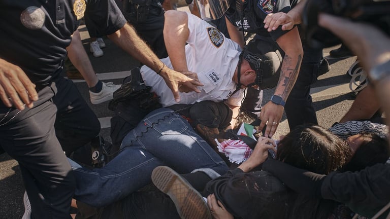 Pro-Palestinian Protests Rock Brooklyn Museum: Scuffles, Arrests, and Artwork Damage